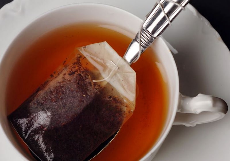 چای کیسه ای گلستان که موجب مرگ یوزپلنگ در حال انقراض شد